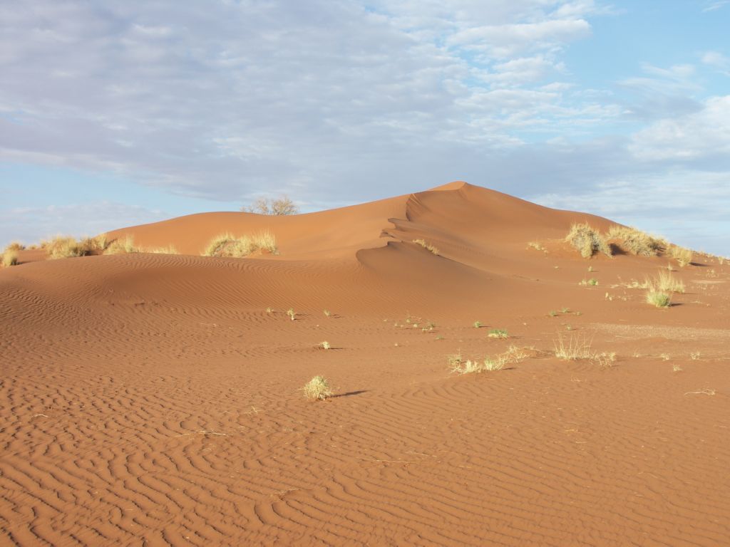 namib desert